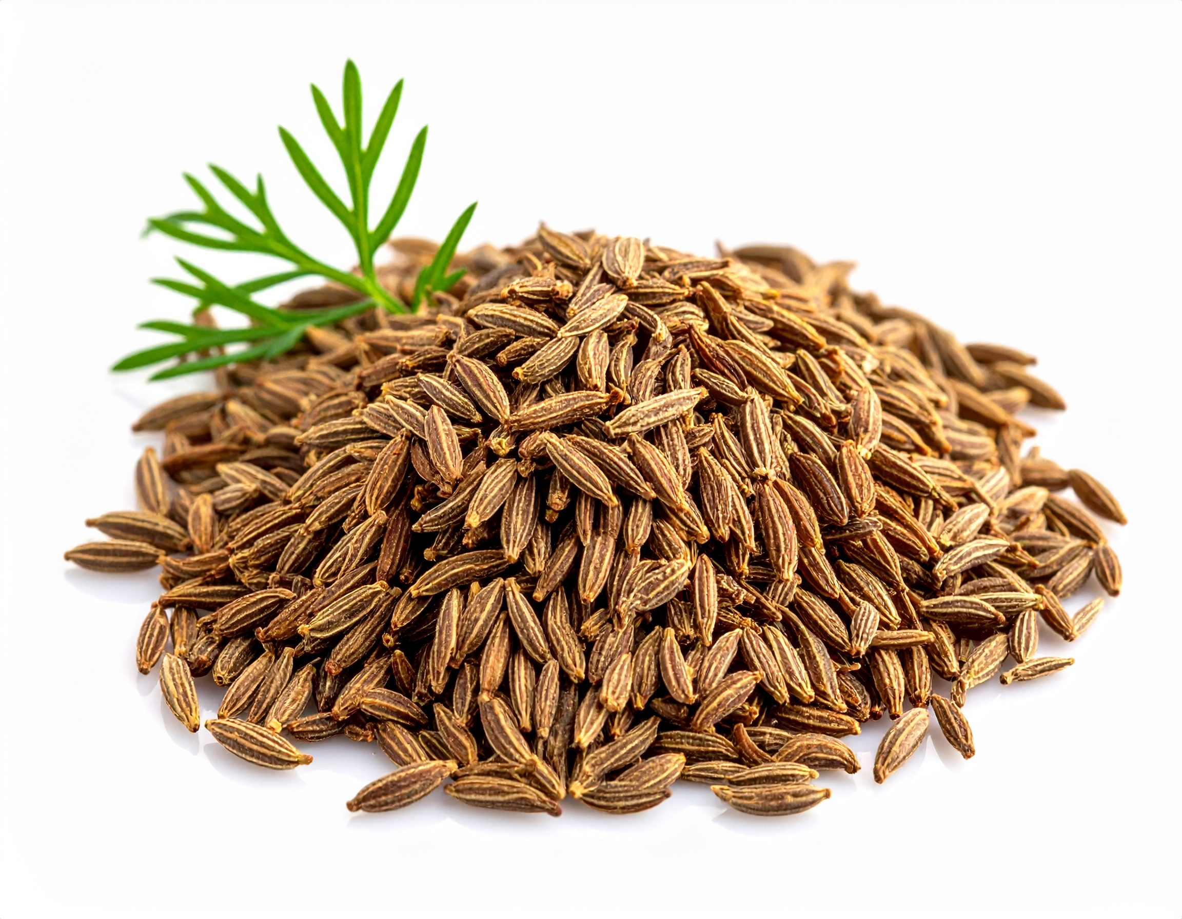 Cumin Seeds