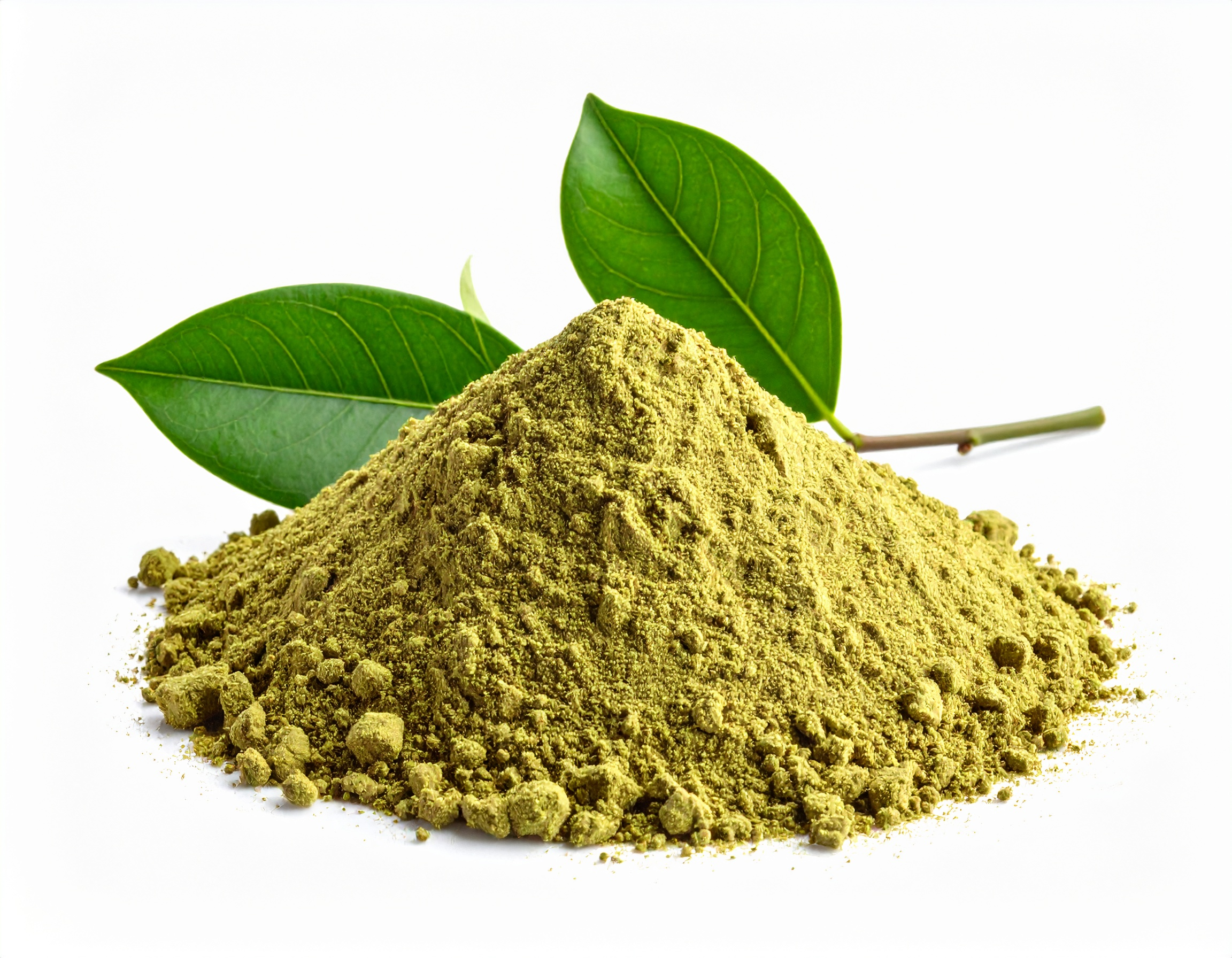 Sidr leaves powder